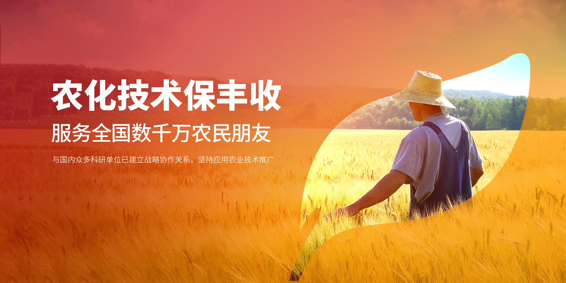 安陽大香蕉性爱小视频新肥科技有限公司