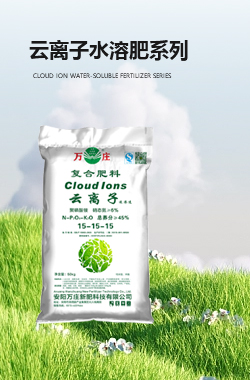 雲離子香蕉视频污在线肥係列